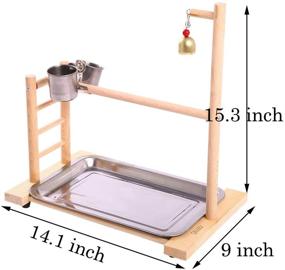 img 3 attached to 🐦 QBLEEV Conure Birdcage Stand Parrot Play Gym Wood Playground Accessories Birdhouse Decor Table Top PlayStand with Ladder Stainless Steel Feeder Cup Tray for Small/Medium Parakeets Cages