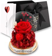 🌹 eternal romance: preserved red roses in glass dome - perfect valentine's day & birthday gifts for women, grandma, and mom logo