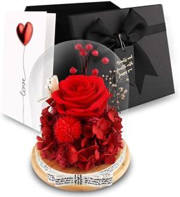 img 4 attached to 🌹 Eternal Romance: Preserved Red Roses in Glass Dome - Perfect Valentine's Day & Birthday Gifts for Women, Grandma, and Mom