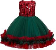 fkkfyy 2-10t ball gown dresses 👗 for pageants, weddings, proms, and princess themes logo