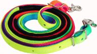 prorider roping western barrel rainbow logo