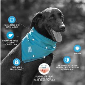 img 1 attached to Stay Cool on Any Terrain with the Terrain Dog Cooling Bandana - Powered by Coolcore Technology