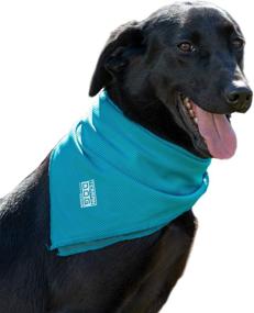 img 3 attached to Stay Cool on Any Terrain with the Terrain Dog Cooling Bandana - Powered by Coolcore Technology