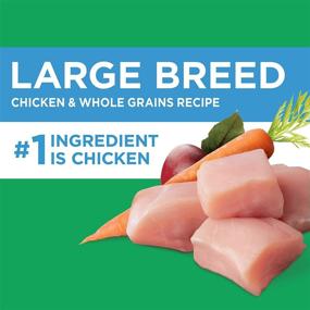 img 1 attached to Iams Large Breed Adult Dry Dog Food: Premium Chicken & Lamb Formula for Optimal Health