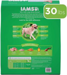 img 3 attached to Iams Large Breed Adult Dry Dog Food: Premium Chicken & Lamb Formula for Optimal Health