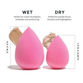 img 3 attached to 💄 AOA Studio Collection Makeup Sponge Set - Latex Free, High-definition Blenders, 6-Pack: Ideal for Powder, Cream, and Liquid Makeup, Ultra-Soft Wonder Blenders for Beauty Cosmetic Application