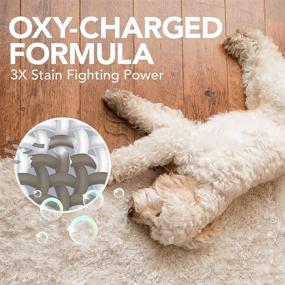 img 3 attached to Powerful and Efficient Pet Stain and Odor Remover: Simple Solution Oxy Charged - 3X Cleaning Power!