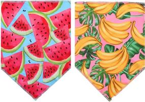 img 3 attached to 🍉 BoomBone Watermelon Dog Bandana Set - Stylish Scarf for Dogs of All Sizes, Perfect for Summer