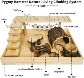 img 2 attached to 🐹 Natural Wood Activity Playground for Hamiledyi Dwarf Hamsters - Gerbil Climbing Platform and Gym System Set with Lava Stone Chewing Toy, Ladder Bridge Ramp - Syrian Exercise Cage Accessories