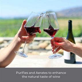 img 1 attached to 🍷 PureWine Wand Allergen & Headache Reducing Purifier Stick - Filters Histamines and Sulfites - Enhances Wine Taste and Purity - Convenient Pack of 8