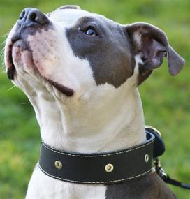 img 3 attached to Stylish Black Genuine Leather Studded Dog Collar - Wide, Adjustable for Large Breeds Boxer, Bulldog, Pitbull