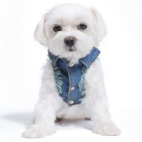 img 4 attached to 🐶 Designer Dog Jean Jacket by United Pups: Fashion-forward Canine Apparel