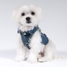 img 2 attached to 🐶 Designer Dog Jean Jacket by United Pups: Fashion-forward Canine Apparel