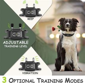 img 3 attached to 🐶 DOG CARE Remote Dog Training Collar with Shock, Vibration, and Beep Modes - Rechargeable, Long Range Remote Control for Large and Medium Dogs (15-100lb)