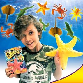 img 1 attached to 🧜 JA-RU Mega Magic Grow Sea Creatures (Assorted Pack of 6) - Grows Over 300% in Size. Water Growing Toy for Kids & Adults. Perfect Party Favors. Includes 1 Bonus Bouncy Ball - Item 302-6p