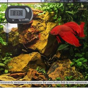 img 2 attached to 🌡️ SunGrow LCD Digital Betta Thermometer: Accurate Water Temperature Reading, Maintains Real Habitat, Easy Installation - Includes 2 Suction Cups and Battery!