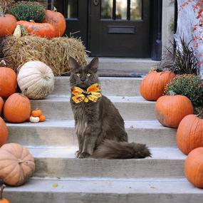 img 1 attached to 🎃 Haakong 3-Piece Halloween Cat Bowtie Collar Set with Bell - Kitten Removable Bow Collar Featuring Pumpkin Soul Print, Witch Hat, Bat, and Clown Resin Decoration