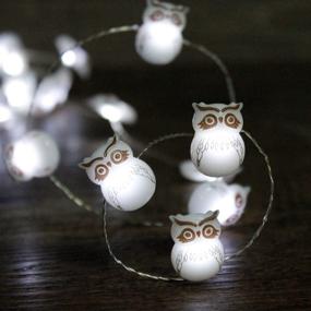 img 4 attached to 🦉 IMPRESS LIFE Halloween Owl Snow Bird String Lights: Spooky Outdoor Indoor Decorations with Remote Control
