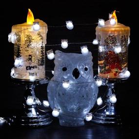 img 3 attached to 🦉 IMPRESS LIFE Halloween Owl Snow Bird String Lights: Spooky Outdoor Indoor Decorations with Remote Control