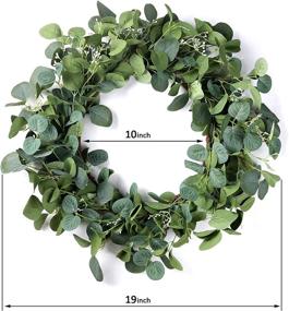 img 3 attached to 🌿 Eucalyptus Wreath - 19 Inch Artificial Green Leaf Wreath for Front Door | Versatile & Stylish All Seasons Decor | Spring Summer Eucalyptus Mixed Green Wreath for Wall, Window, and Farmhouse