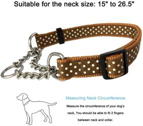 img 2 attached to MayPaw Martingale Slip Dog Collar: Effective No Pull Choke Collar for Medium and Large Dog Training