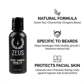 img 3 attached to 🧔 Набор масла для бороды в удобном формате для путешествий от ZEUS: незаменимый стартовый набор, покорение волос, облегчение зуда, увлажнение, увлажнение - Сандаловое дерево