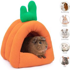 img 3 attached to 🏡 Cozy Hideouts for Dwarf Rabbits, Bunny, Ferrets, Rats, Hedgehogs, Chinchilla - Orange