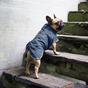 img 2 attached to 🐶 Hurtta Dog Coats: Optimize Your Canine's Comfort