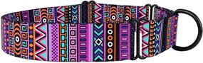 img 1 attached to 🐾 Premium Tribal Pattern Martingale Collars - Adjustable, Heavy-Duty Safety Training Collars for Medium to Large Dogs