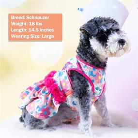 img 1 attached to 🌸 Floral Dog Dress with Flower Decor - Polkadot Design for Small Dogs | Soft Material, Pet Clothes for Dogs | KYEESE Dog Apparel
