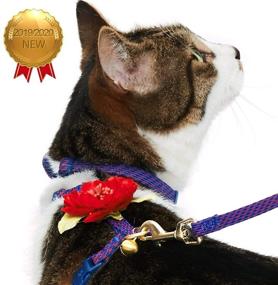 img 3 attached to 🐱 Cat Harness & Leash Sets with 5 Patterns: Diagonal Striped and Reflective - Blueberry Pet