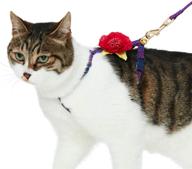 🐱 cat harness & leash sets with 5 patterns: diagonal striped and reflective - blueberry pet логотип