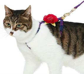 img 4 attached to 🐱 Cat Harness & Leash Sets with 5 Patterns: Diagonal Striped and Reflective - Blueberry Pet