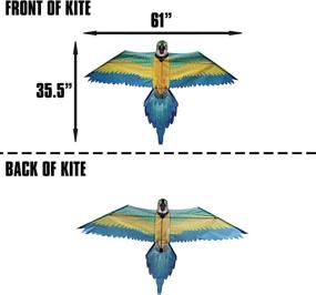 img 2 attached to 🦜 X Kites WindNSun Rainforest Macaw Nylon: Unleash the Tropical Vibes!