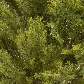 img 1 attached to 🌿 National Tree Company 15 Inch Green Artificial Shrub with Pot Base, Globe Juniper