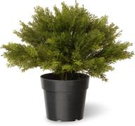 🌿 national tree company 15 inch green artificial shrub with pot base, globe juniper логотип