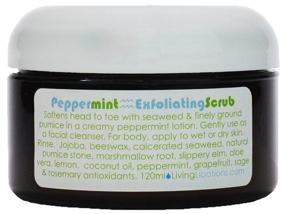 img 2 attached to Living Libations Wildcrafted Peppermint Exfoliating