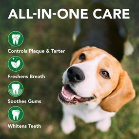 img 1 attached to 🦷 Vet's Best Enzymatic Toothpaste for Dogs - Teeth Cleaning Gel for Fresh Breath and Veterinary Formulated Dental Care