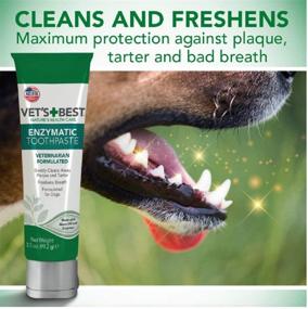 img 2 attached to 🦷 Vet's Best Enzymatic Toothpaste for Dogs - Teeth Cleaning Gel for Fresh Breath and Veterinary Formulated Dental Care