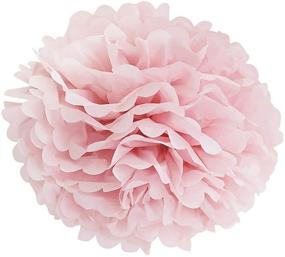 img 2 attached to 🎉 Furuix Pink Gold Party Decorations Set - 12pcs Tissue Paper Pom Pom, Honeycomb Ball, and Paper Lantern for One Year Old Girls' Princess Birthday, Baby Shower Decorations