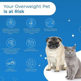 img 3 attached to Natural Weight Management Supplement for Cats and Dogs - Promotes Healthy 🐱 Fat Metabolism, Enhanced Metabolic Function, and Appetite Control to Combat Obesity (450 Tablets)