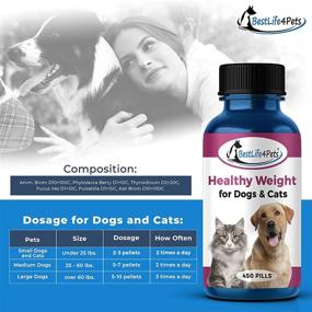 img 2 attached to Natural Weight Management Supplement for Cats and Dogs - Promotes Healthy 🐱 Fat Metabolism, Enhanced Metabolic Function, and Appetite Control to Combat Obesity (450 Tablets)