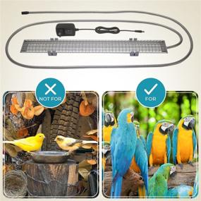 img 1 attached to 🐦 Enhance Your Bird's Environment with the M&M Cage Company Bird Cage Light - Chew Guard and Full Spectrum LED Pet Light included!