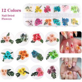 img 3 attached to 🌸 48 Colors Dried Flowers Nail Art Butterfly Glitter Flake 3D Holographic: Enhance Your Nails with Tufusiur Dry Flower Sequins, Perfect for Acrylic Nails, Face, Body; Ideal Gifts for Decoration, DIY Crafting