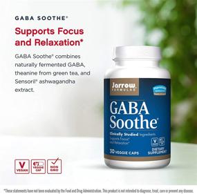 img 1 attached to 🧠 Jarrow Formulas GABA Soothe - Supports Focus, Relaxation & Resistance to Stress - With Theanine & Ashwagandha Extract - 30 Servings