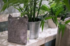 img 1 attached to 🌿 Efficient Odor Eliminator: Purge Bag - Activated Bamboo Charcoal Air Purifying Bags for Home, Kitchen, Closet, Car - All Natural, Chemical and Fragrance Free, Moisture Absorber
