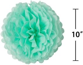 img 4 attached to 🎉 Sogorge 19 Pcs Party Decoration Kit: White Mint Green Pom Poms, Paper Lanterns & Flowers for Birthday, Wedding, Frozen Theme Party Decor – Ideal for Adults, Boys, and Girls