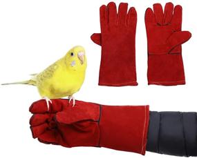 img 4 attached to 🧤 Protective Gloves for Bird Training: Anti-Scratch/Bite, Parrot Cowhide Chewing Safety Gloves for Multiple Bird Species and Lizard