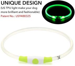 img 1 attached to 🐾 Water Resistant LED Dog Collar - Mini USB Rechargeable Christmas Collar for Dogs, Green - Suitable for Small, Medium & Large Dogs