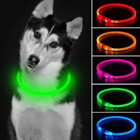 img 4 attached to 🐾 Water Resistant LED Dog Collar - Mini USB Rechargeable Christmas Collar for Dogs, Green - Suitable for Small, Medium & Large Dogs